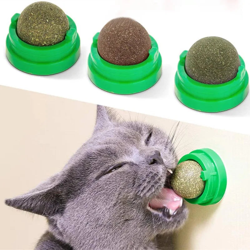 Catnip ball toy for cats