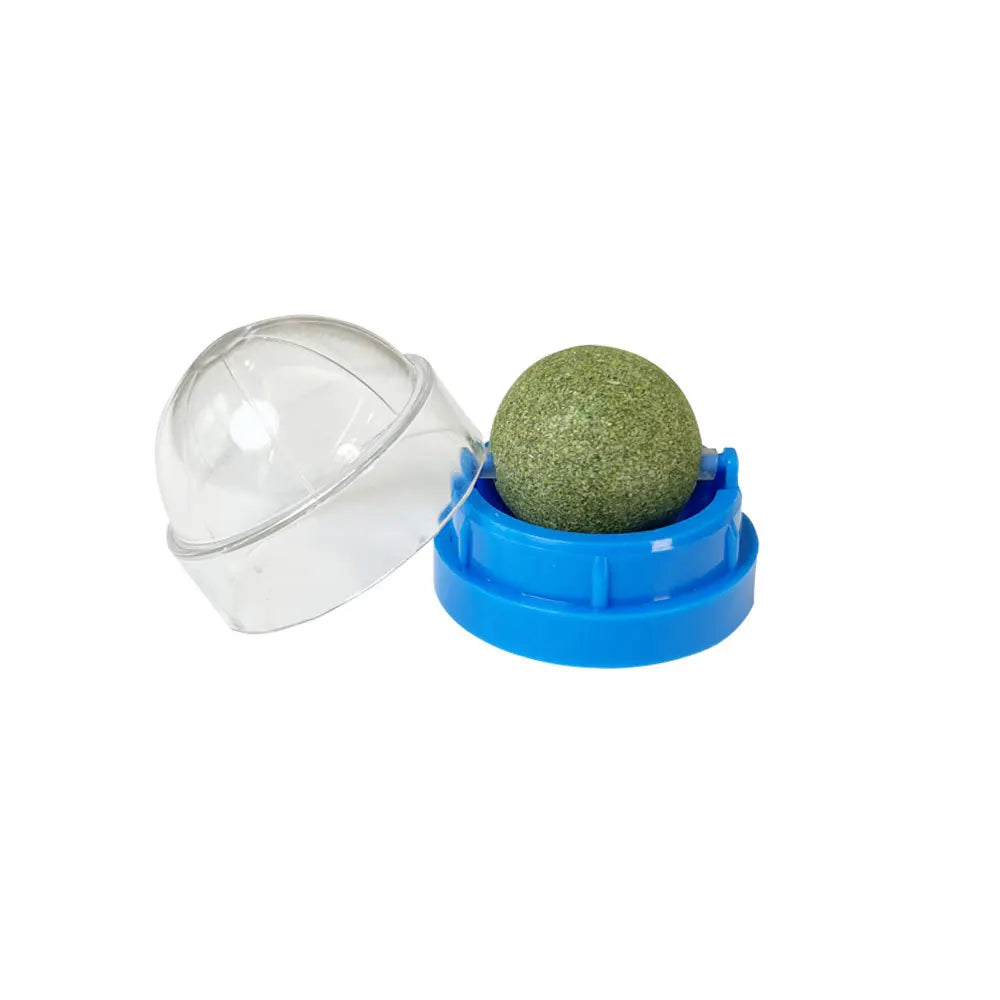 Catnip ball toy for cats