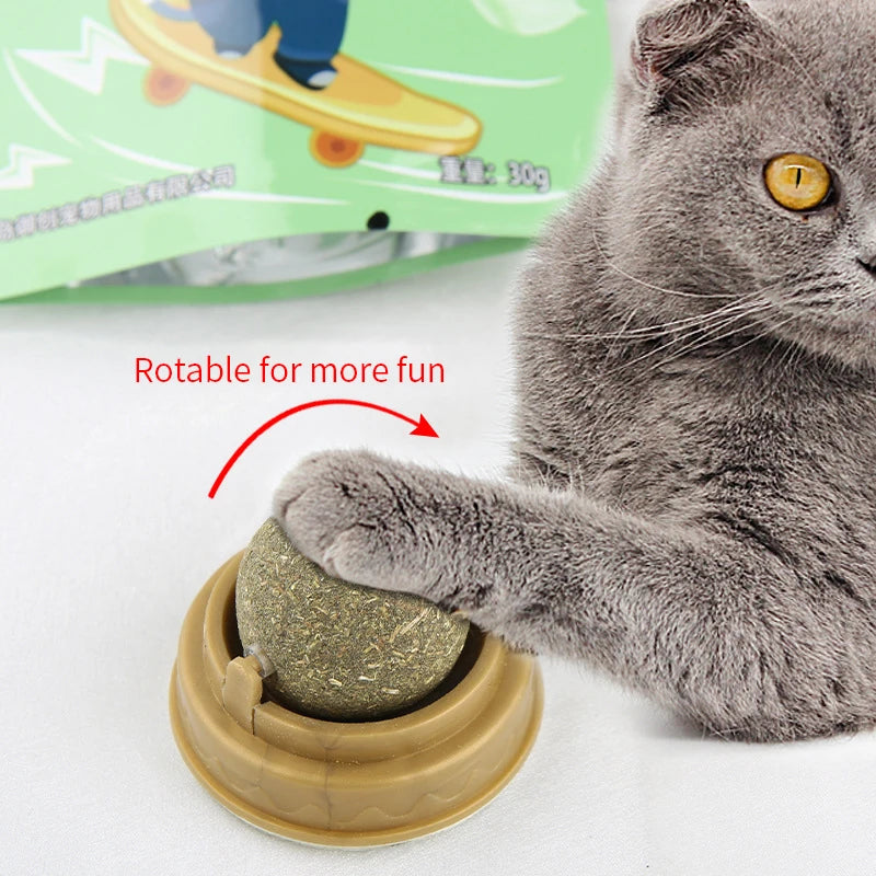 Catnip ball toy for cats