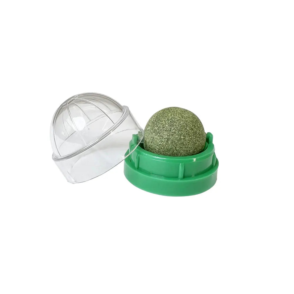 Catnip ball toy for cats